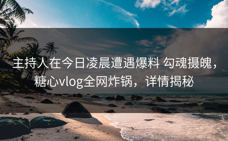 主持人在今日凌晨遭遇爆料 勾魂摄魄，糖心vlog全网炸锅，详情揭秘