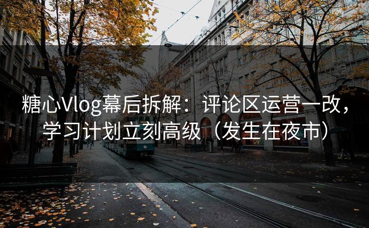 糖心Vlog幕后拆解：评论区运营一改，学习计划立刻高级（发生在夜市）
